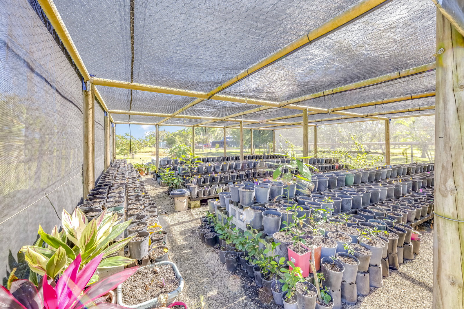 382 Quinns Road, Moorland  QLD  4670