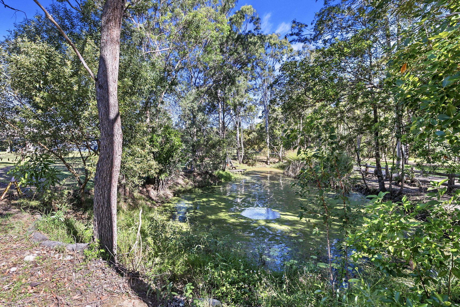 203 Central Road, Tinana  QLD  4650