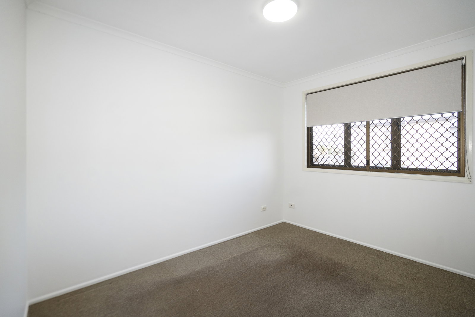 81 Boundary Street, Walkervale  QLD  4670
