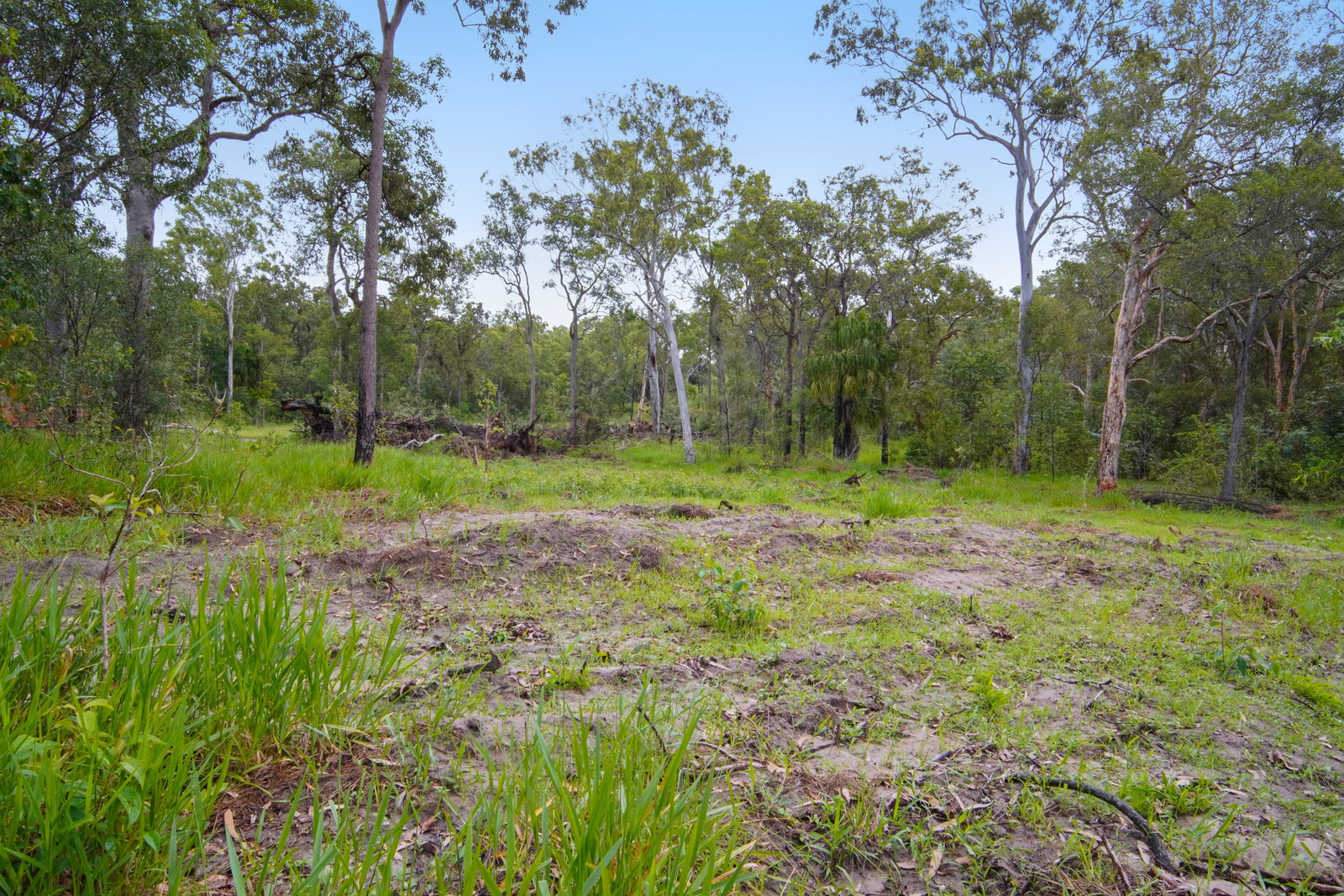 Pacific Drive, Deepwater  QLD  4674