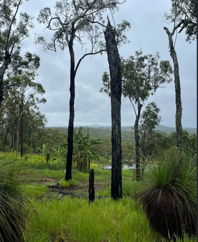 Pacific Drive, Deepwater  QLD  4674