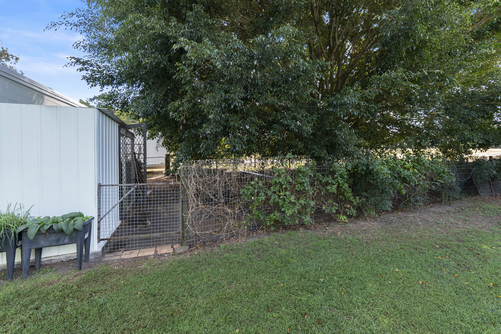 4 Martins Road, Gooburrum  QLD  4670