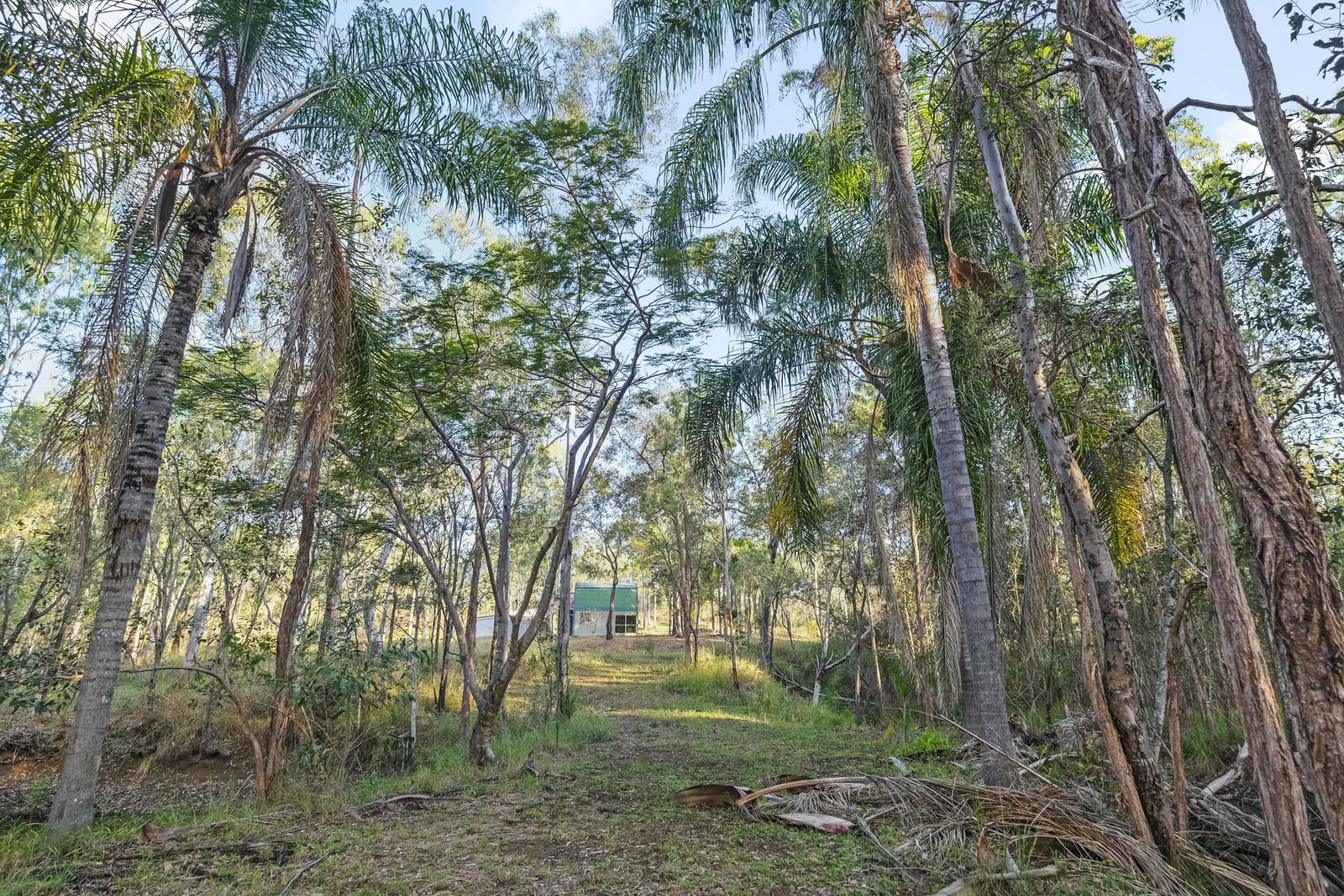90 H H Innes Road, Horse Camp  QLD  4671