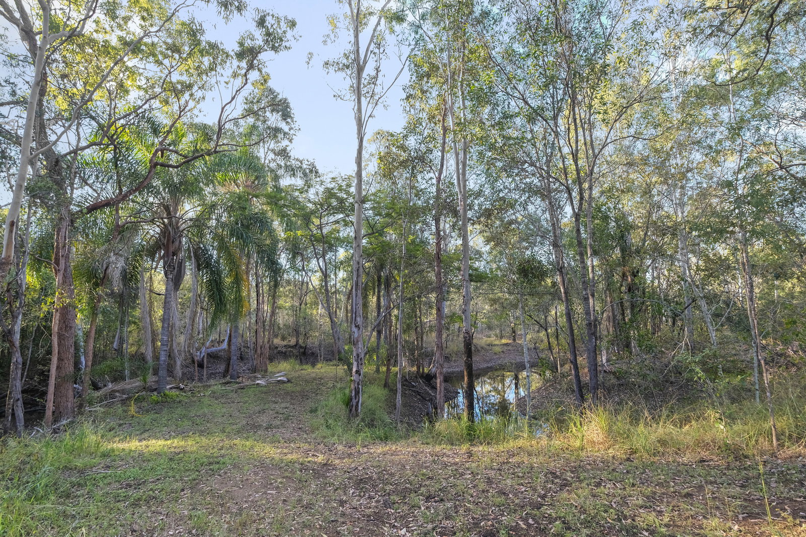 90 H H Innes Road, Horse Camp  QLD  4671