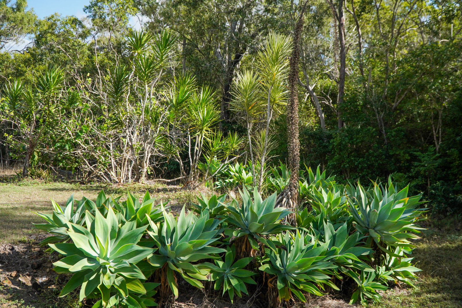 182 Rafting Ground Road, Agnes Water  QLD  4677