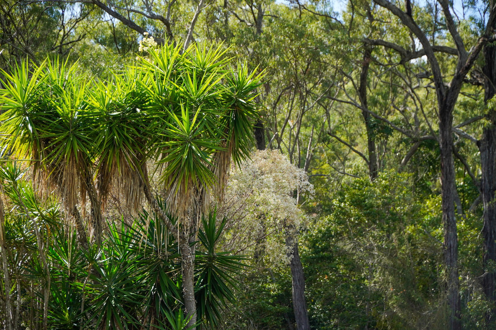182 Rafting Ground Road, Agnes Water  QLD  4677