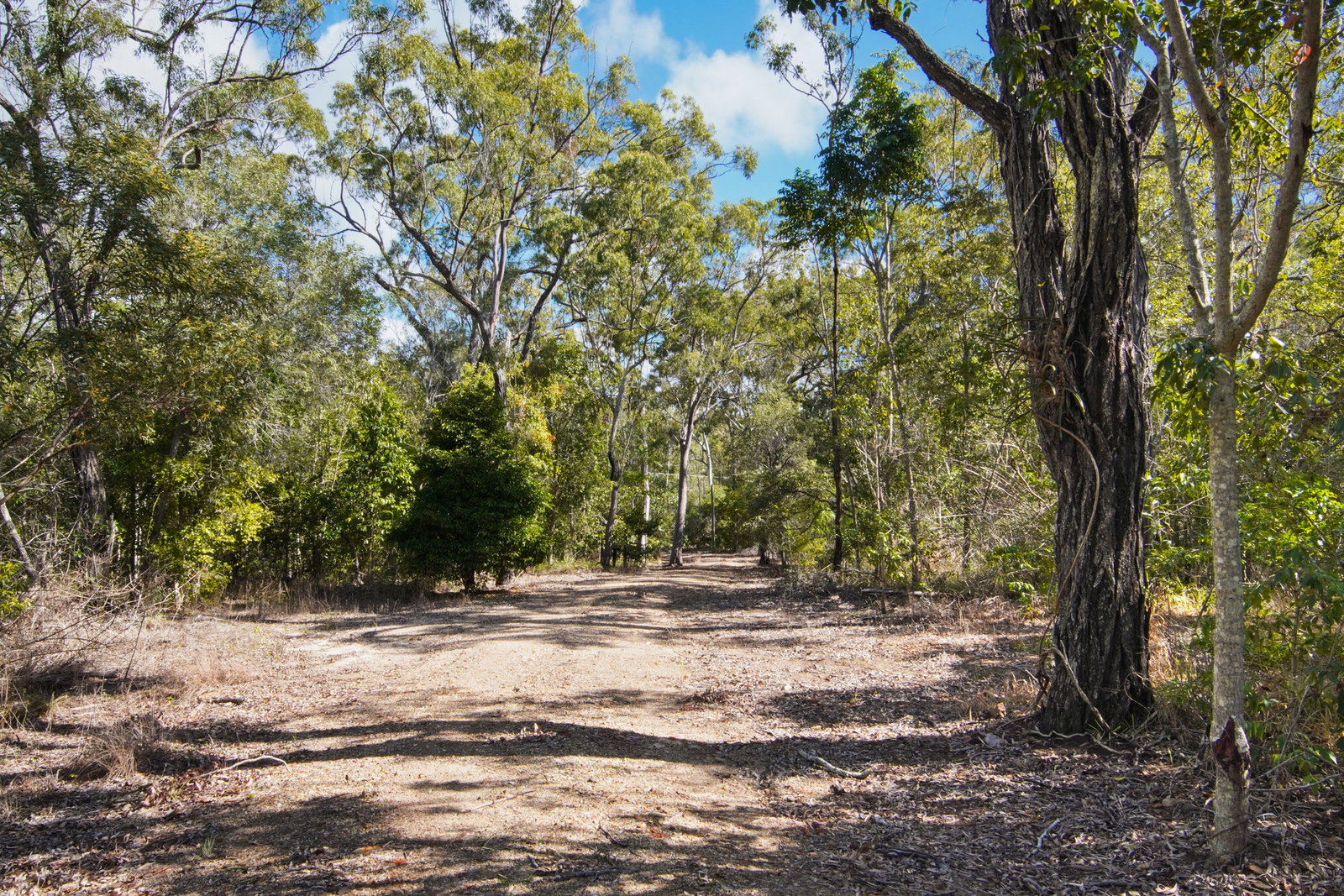 182 Rafting Ground Road, Agnes Water  QLD  4677