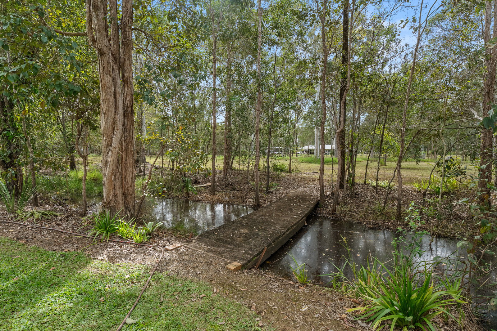 134 Eatonvale Road, Tinana  QLD  4650