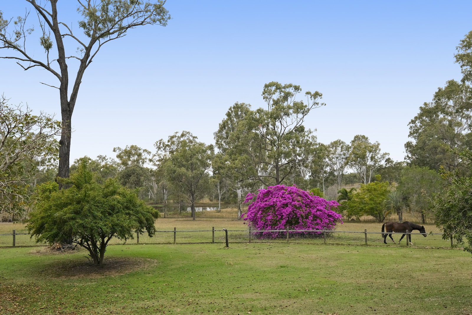 1170 Tableland Road, Horse Camp  QLD  4671