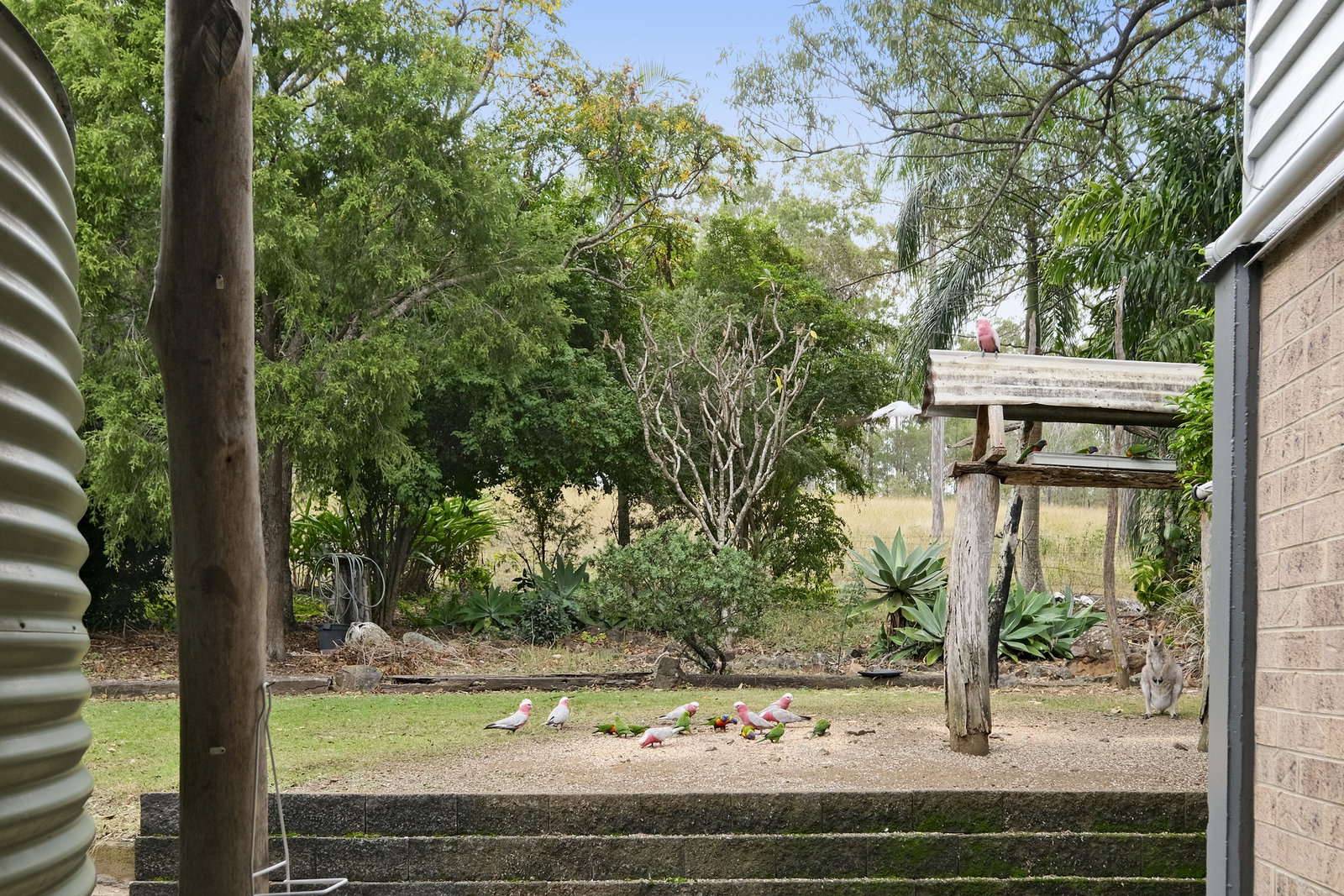 1170 Tableland Road, Horse Camp  QLD  4671