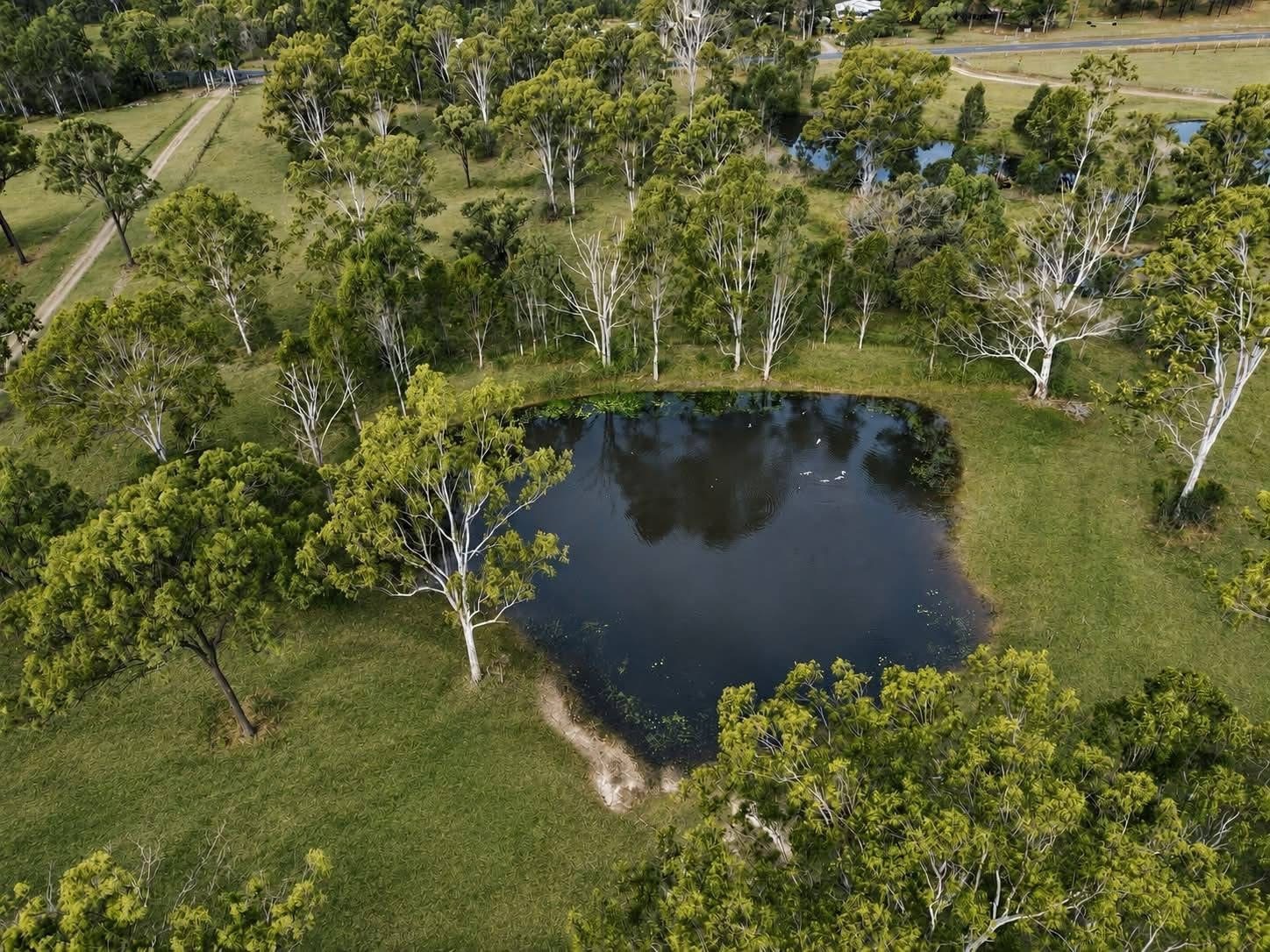 1170 Tableland Road, Horse Camp  QLD  4671
