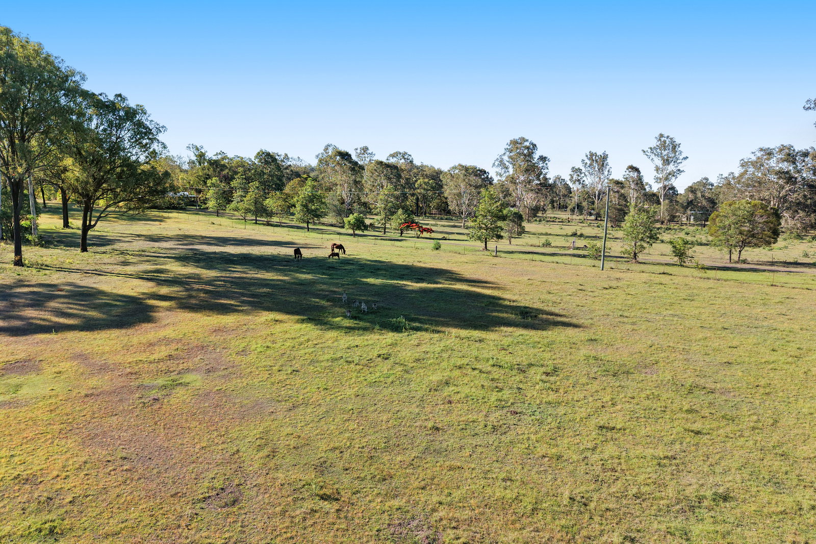 1170 Tableland Road, Horse Camp  QLD  4671