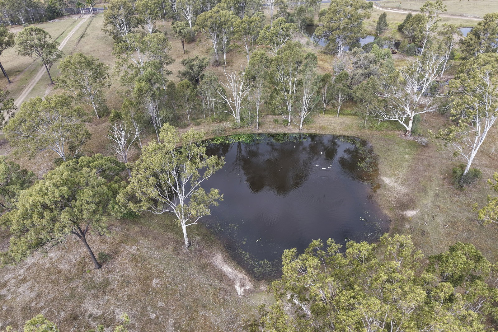 1170 Tableland Road, Horse Camp  QLD  4671