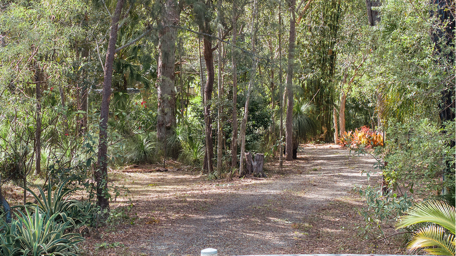 179 Allingham Way, Agnes Water  QLD  4677