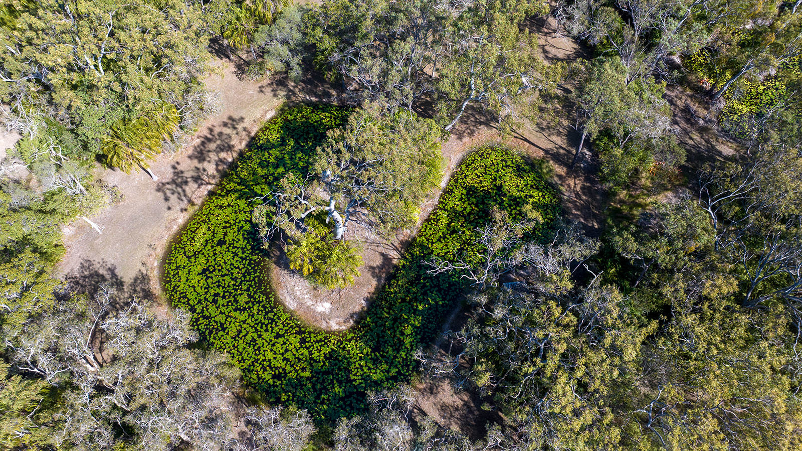 179 Allingham Way, Agnes Water  QLD  4677