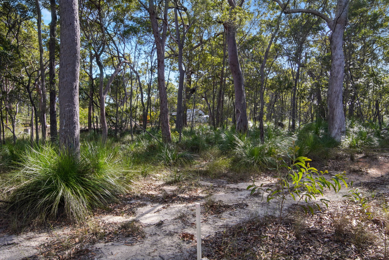 473 Lady Elliot Drive, Round Hill  QLD  4677