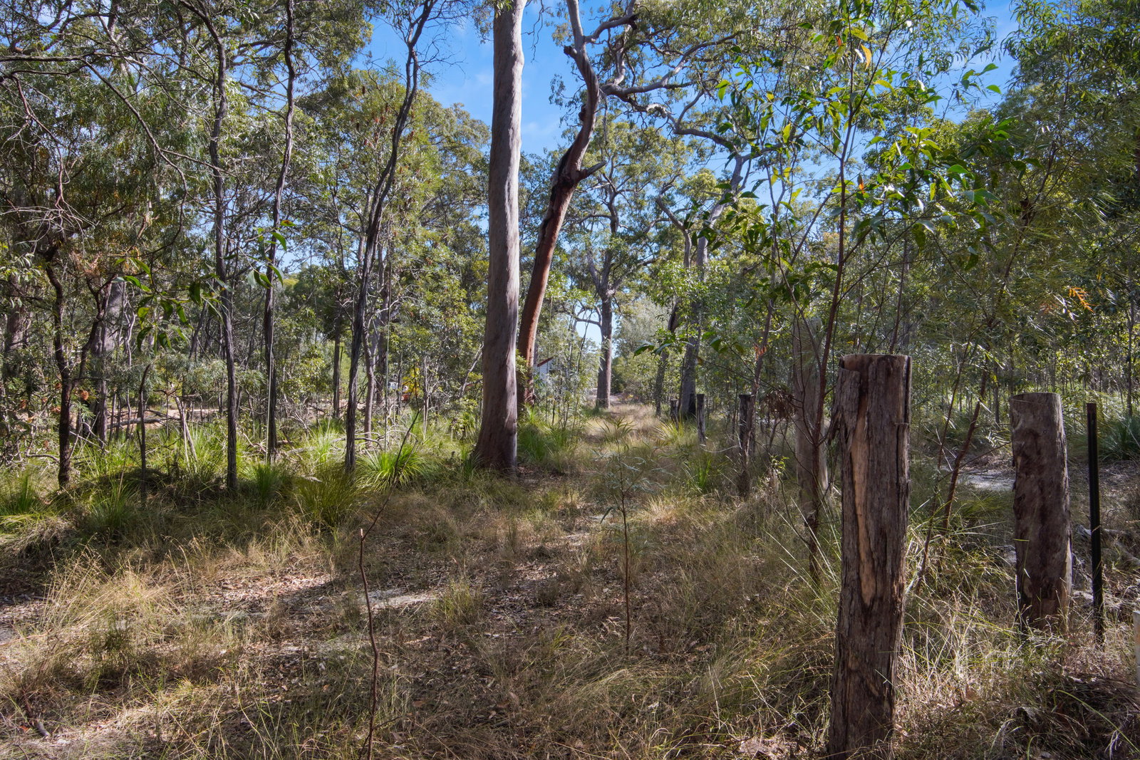 473 Lady Elliot Drive, Round Hill  QLD  4677