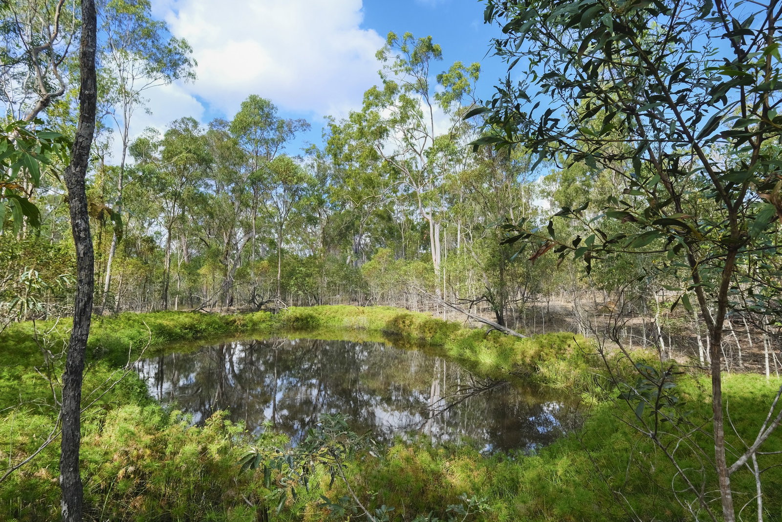 66 Billabong Way, Bucca  QLD  4670