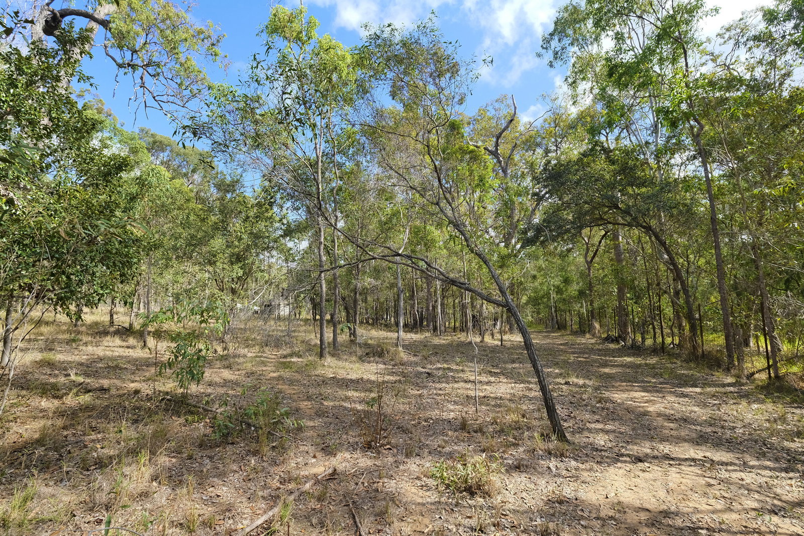 66 Billabong Way, Bucca  QLD  4670