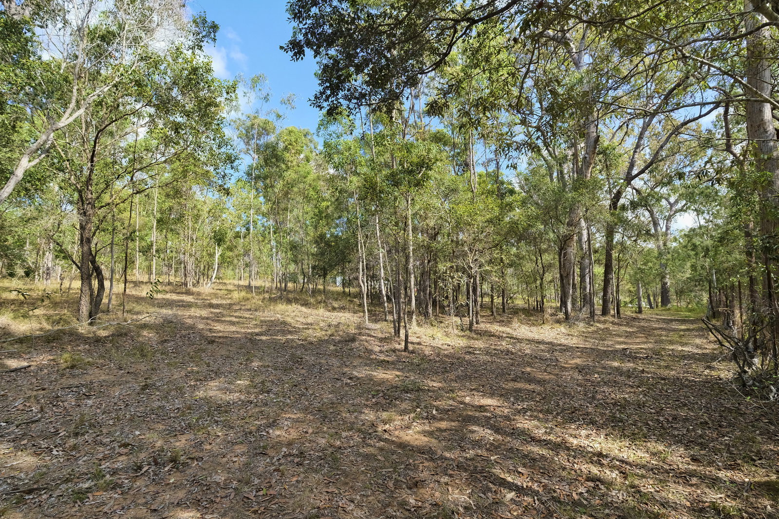 66 Billabong Way, Bucca  QLD  4670