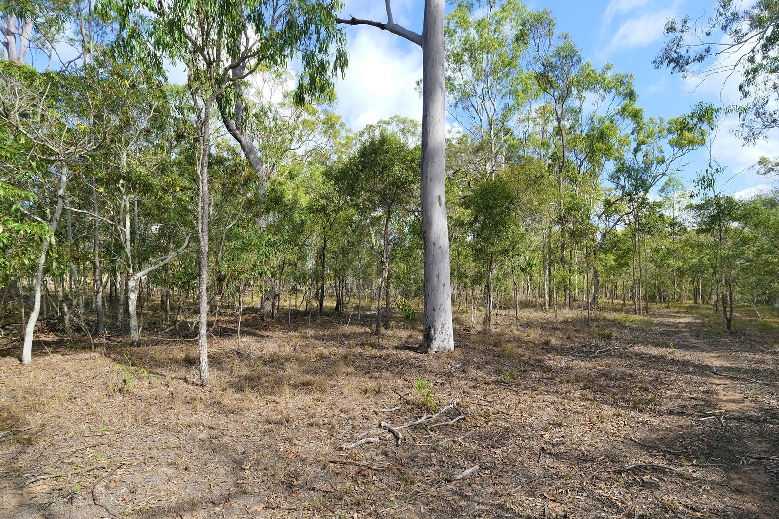 66 Billabong Way, Bucca  QLD  4670