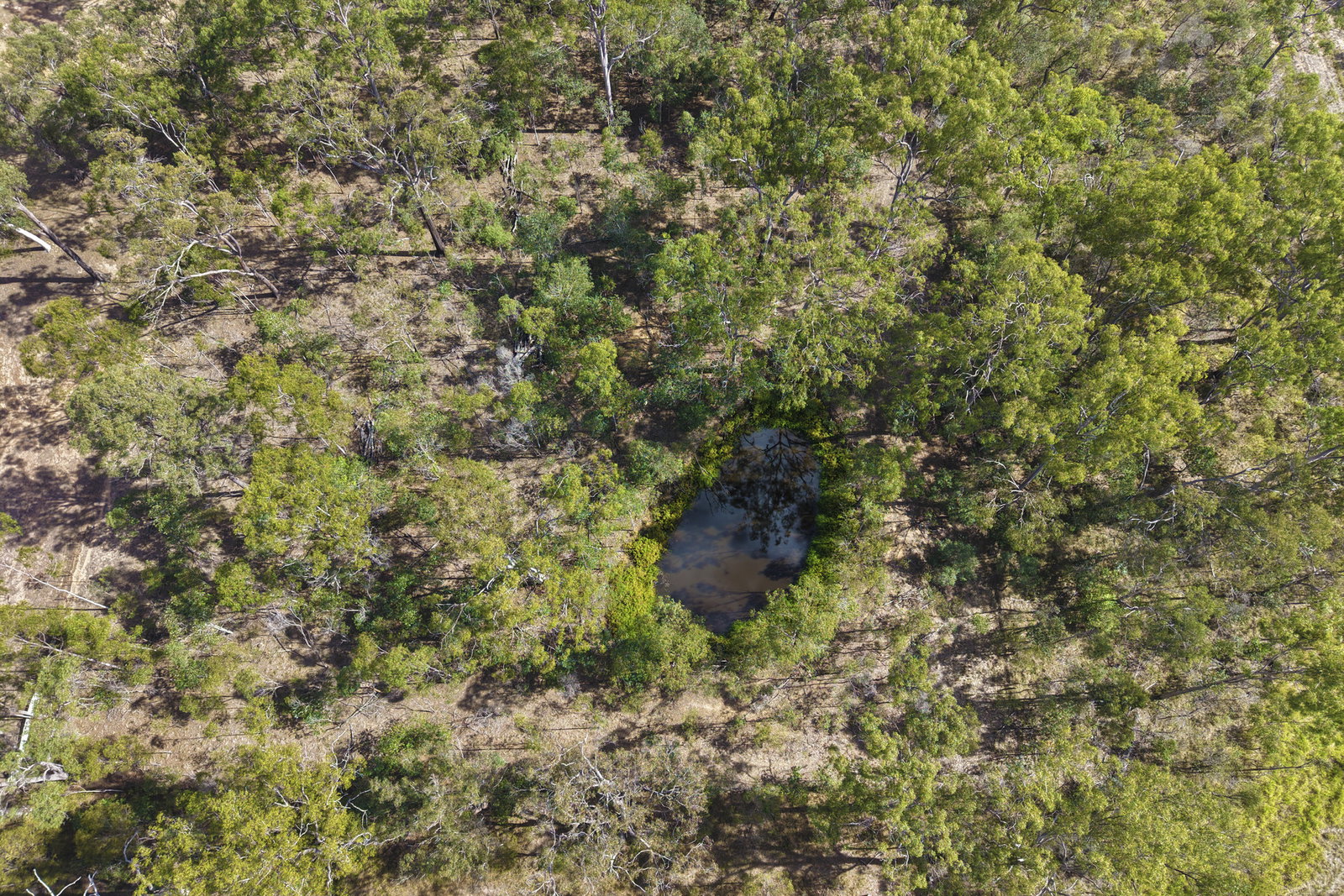66 Billabong Way, Bucca  QLD  4670