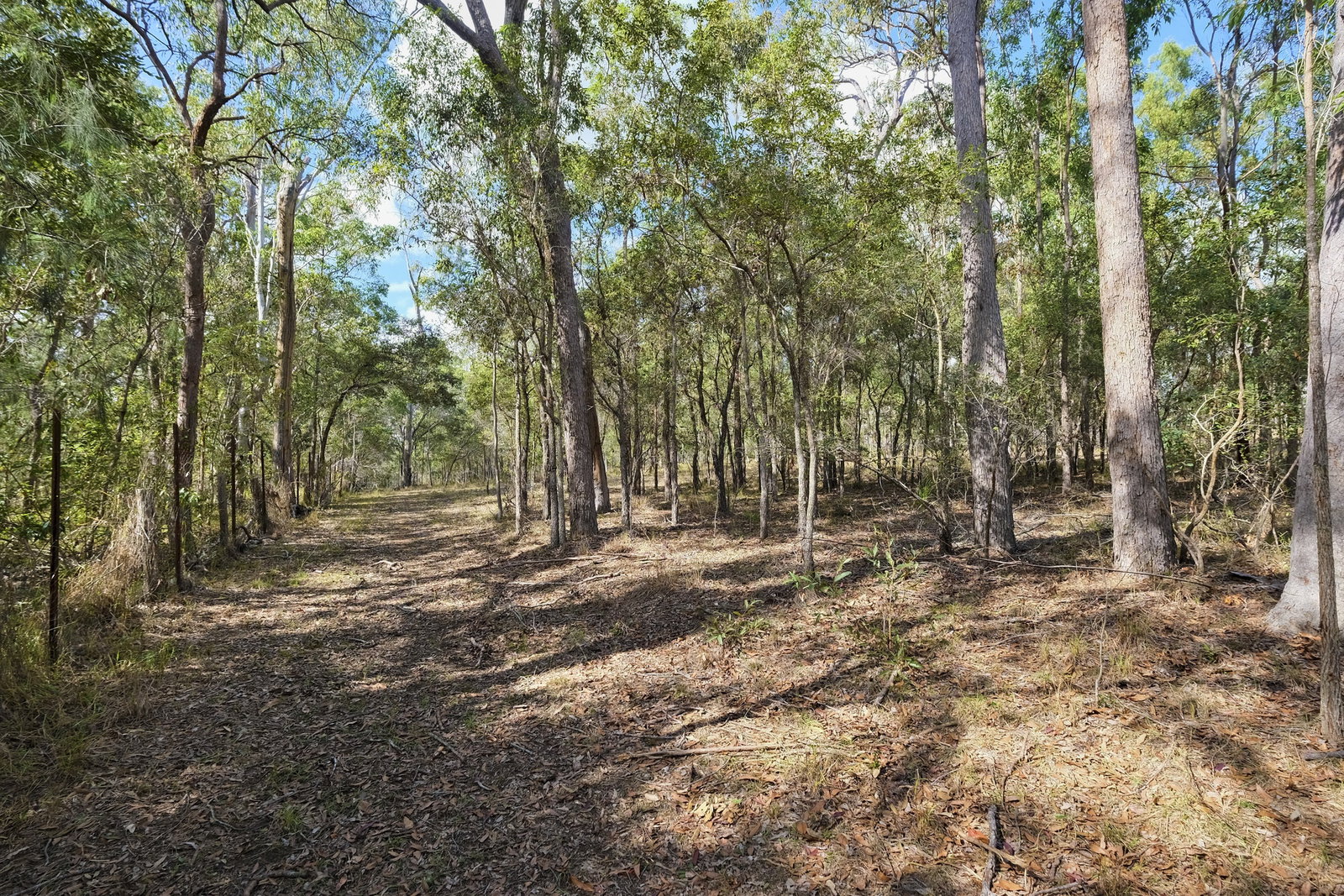 66 Billabong Way, Bucca  QLD  4670