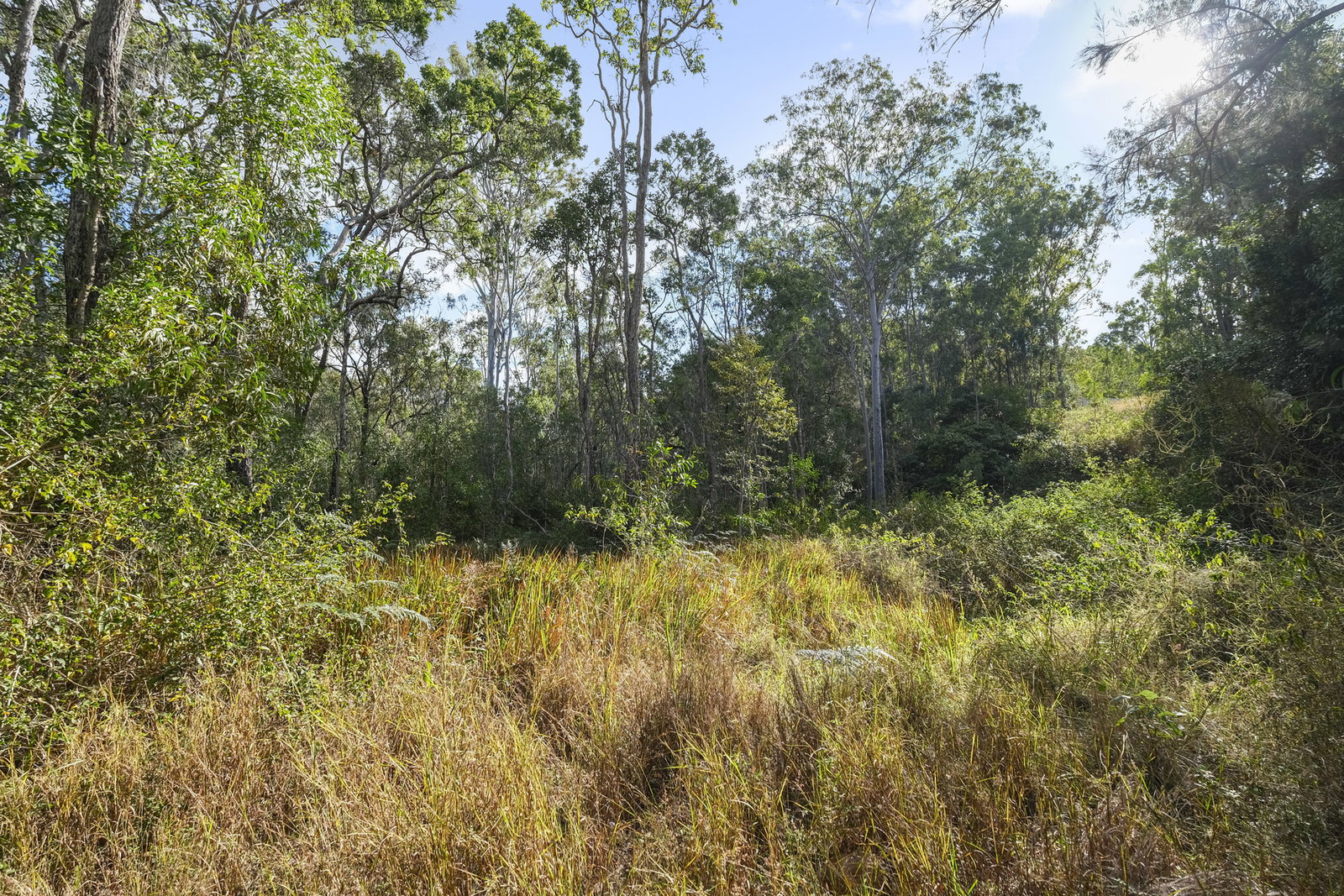1380 Gaeta Road, Gaeta  QLD  4671