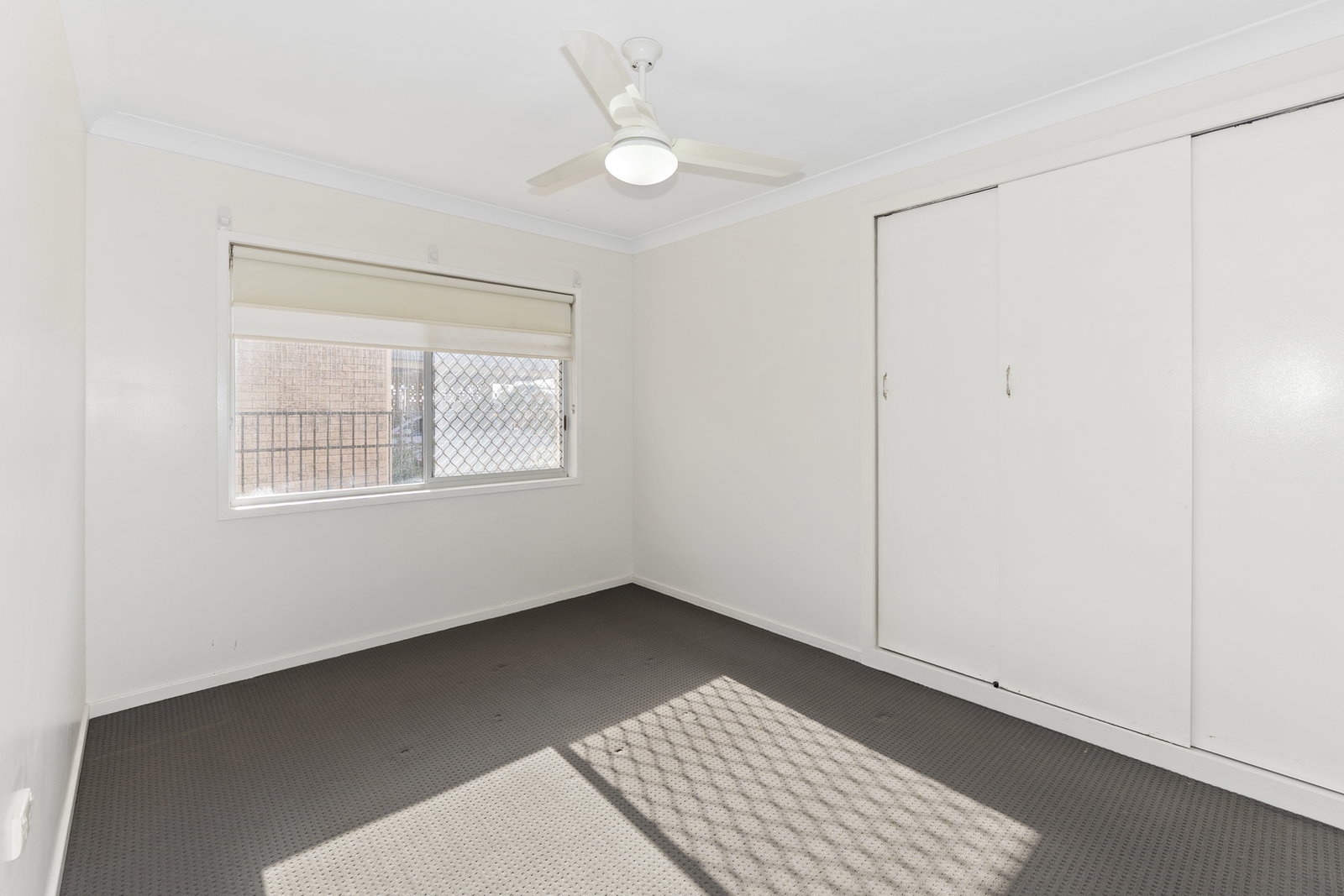 56 Moran Street, Svensson Heights  QLD  4670
