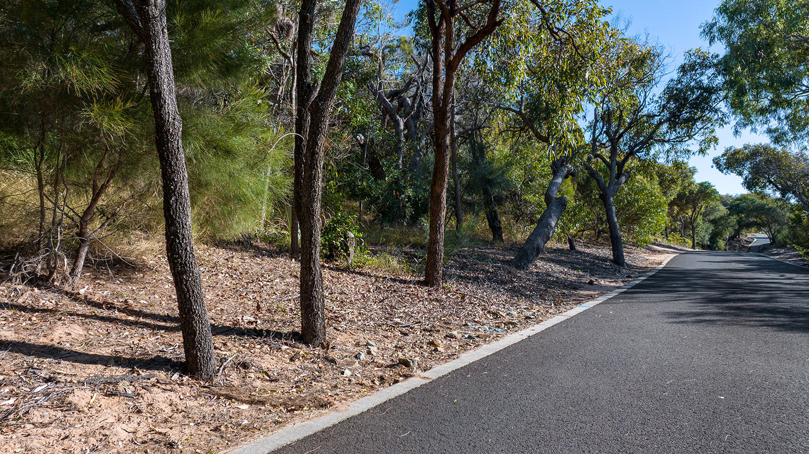 109 Hawkesbill Drive, Agnes Water  QLD  4677