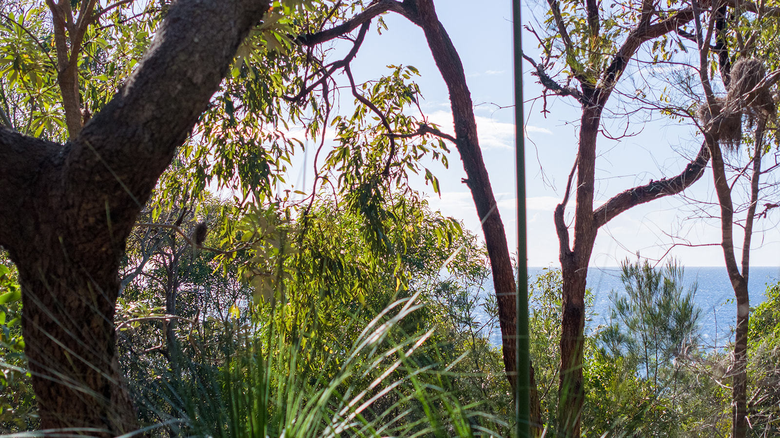 109 Hawkesbill Drive, Agnes Water  QLD  4677