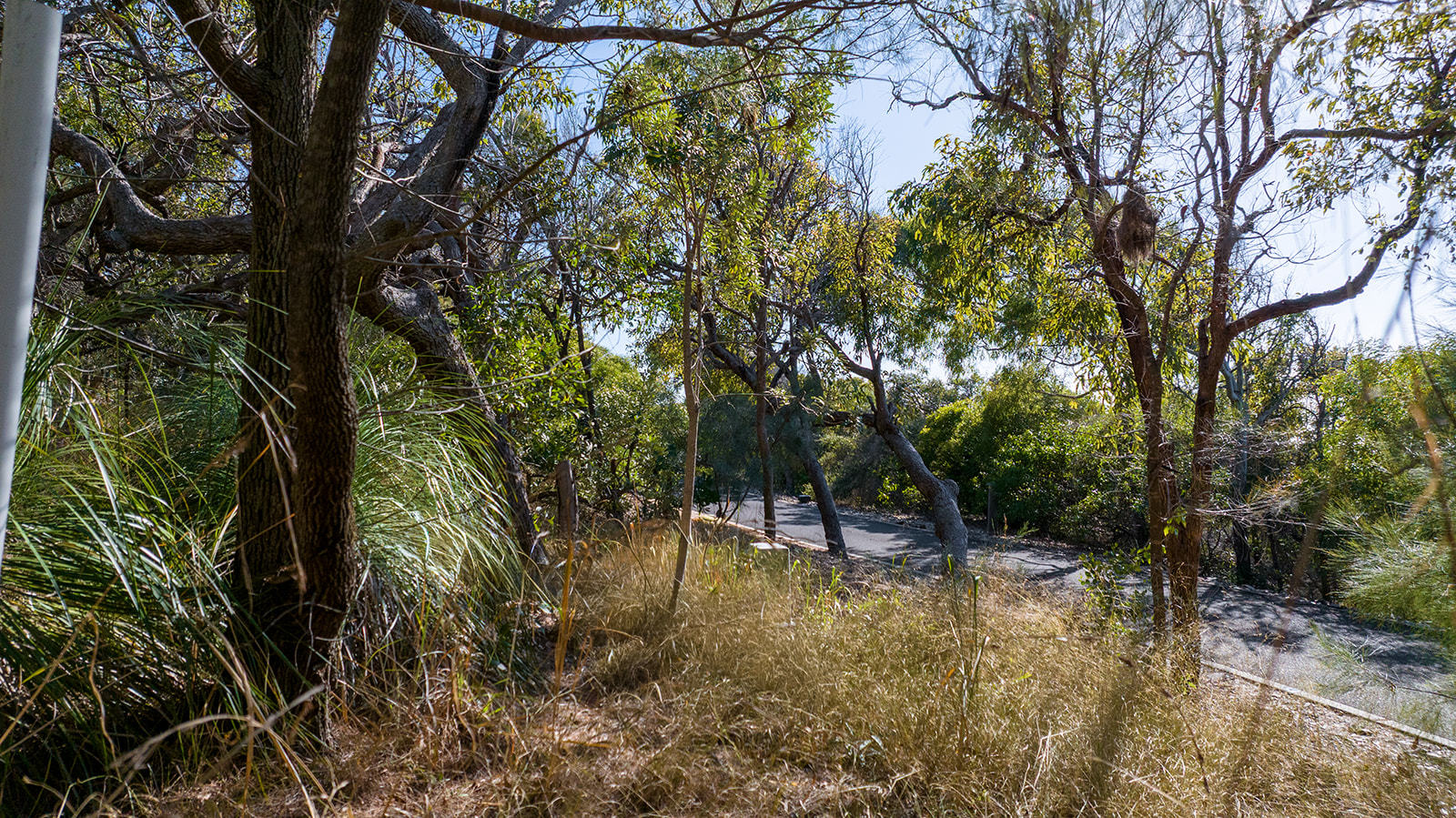 109 Hawkesbill Drive, Agnes Water  QLD  4677