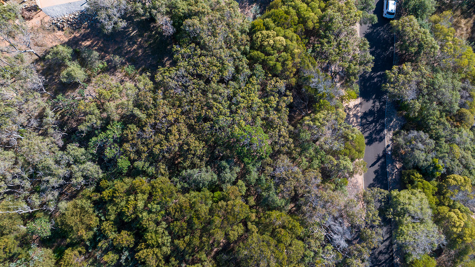 109 Hawkesbill Drive, Agnes Water  QLD  4677