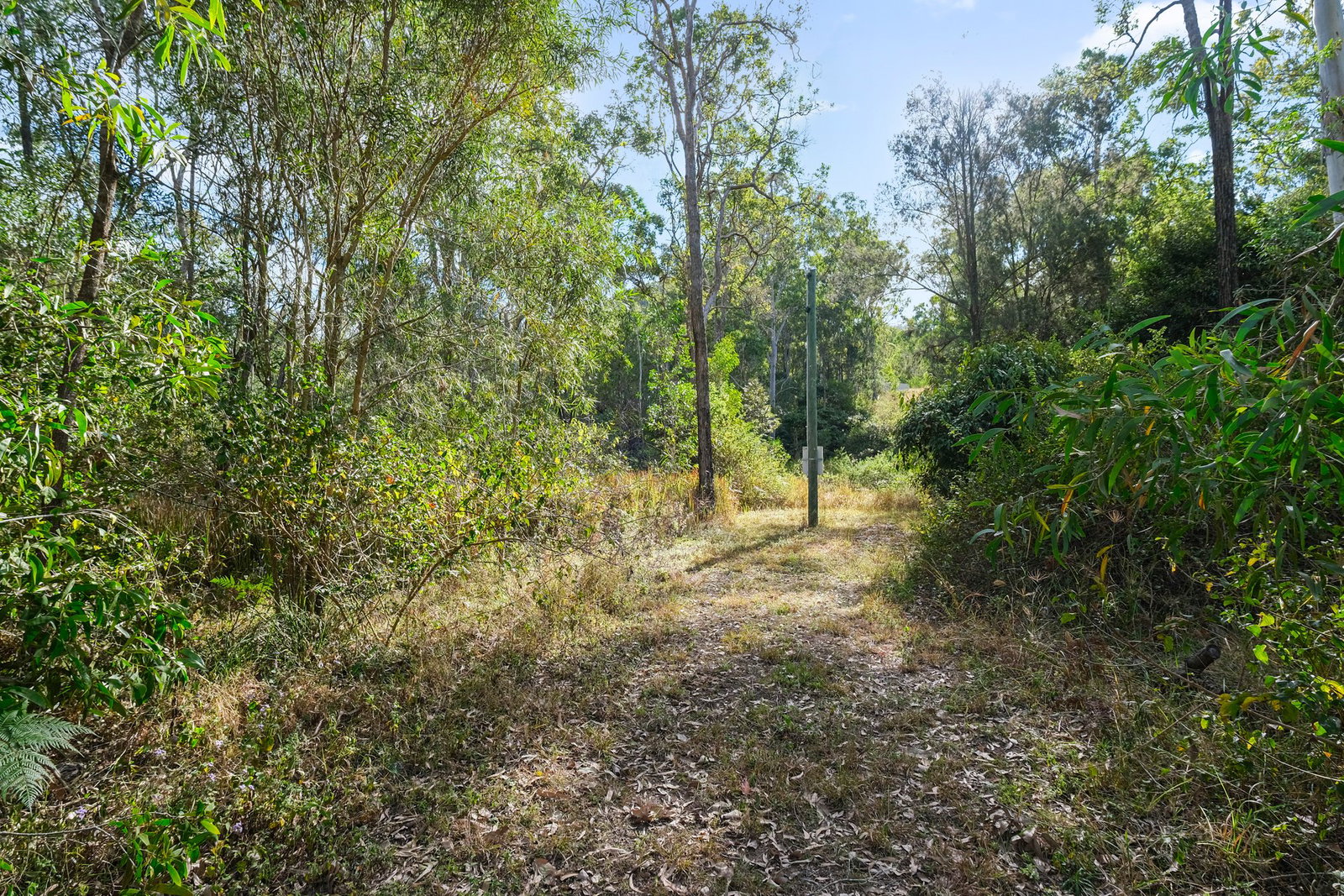 1380 Gaeta Road, Gaeta  QLD  4671