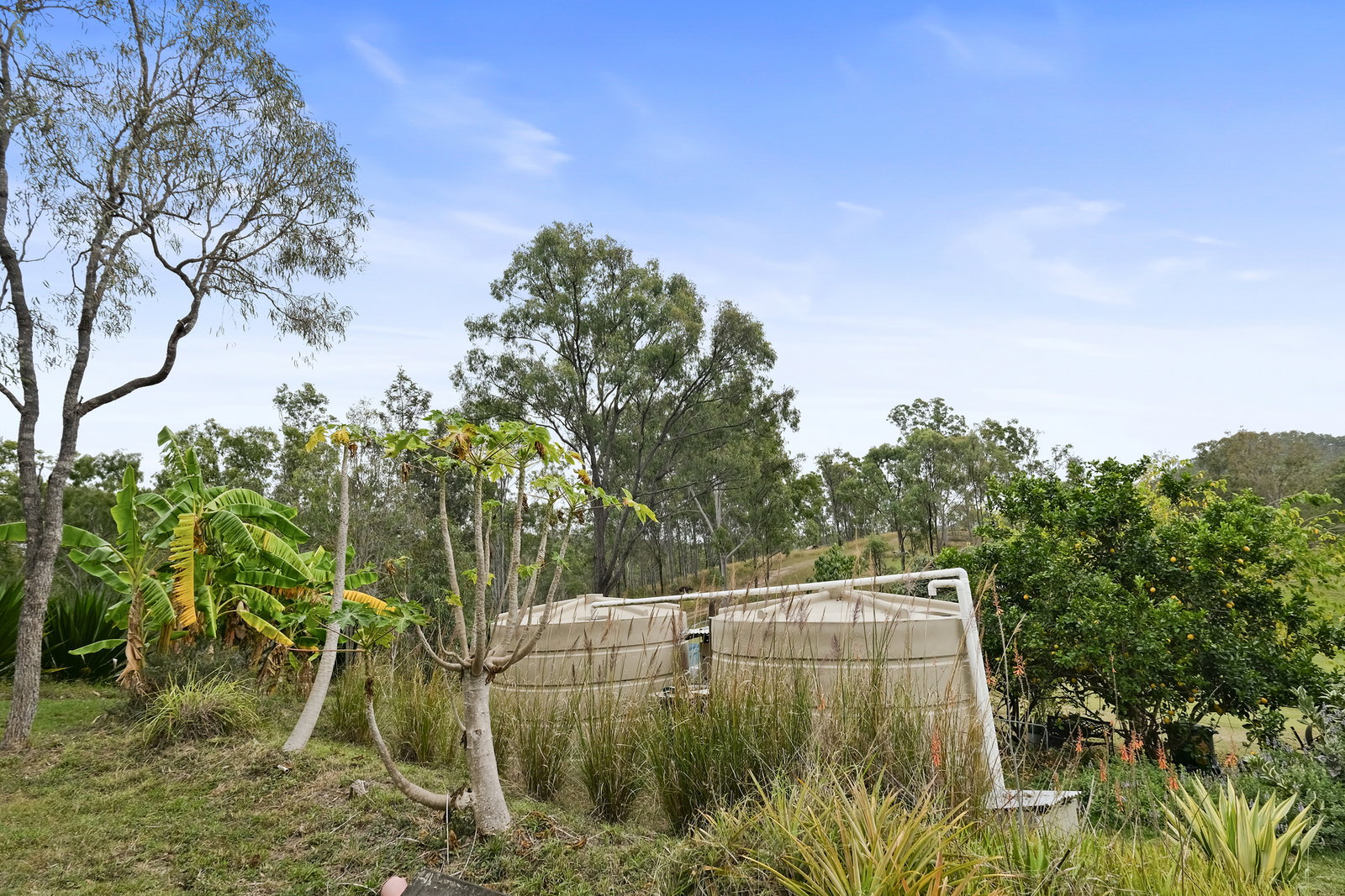 20 Morris Road, Wonbah  QLD  4671