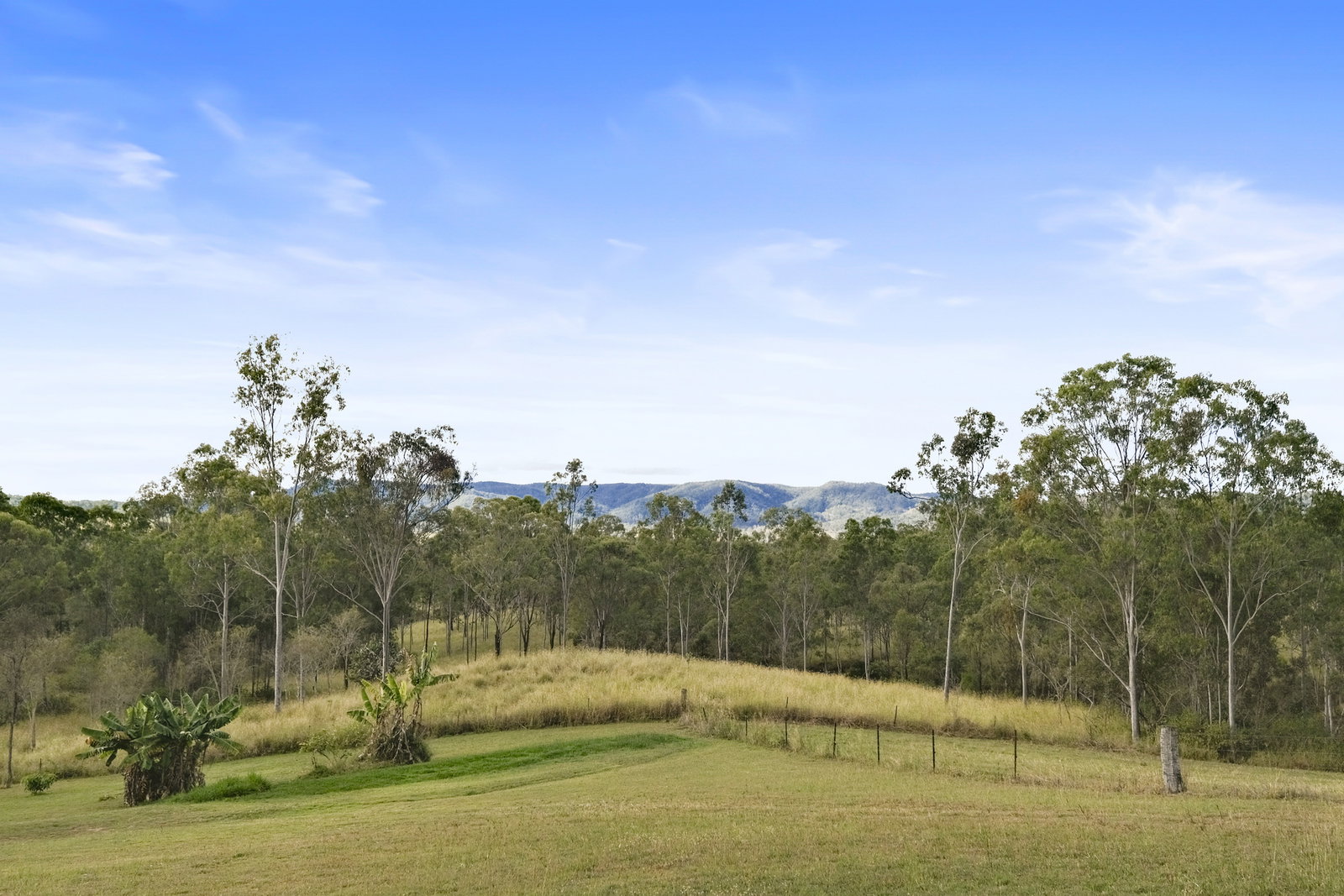 20 Morris Road, Wonbah  QLD  4671