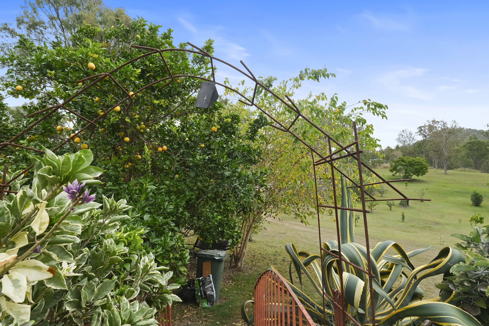 20 Morris Road, Wonbah  QLD  4671
