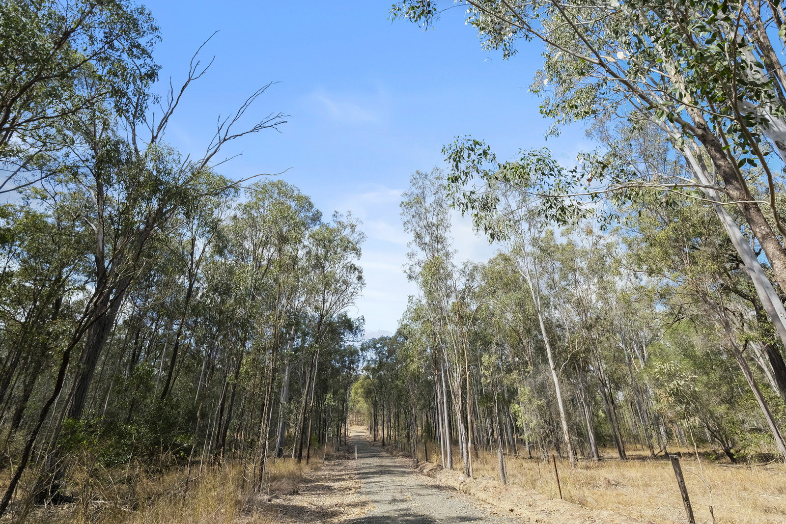 117 Scrub Road, Mount Perry  QLD  4671