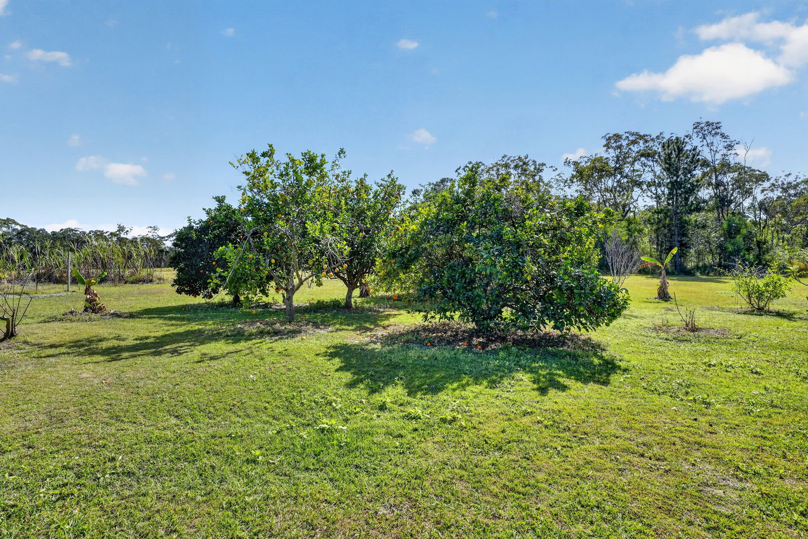 1064 Maryborough Biggenden Road, Oakhurst  QLD  4650