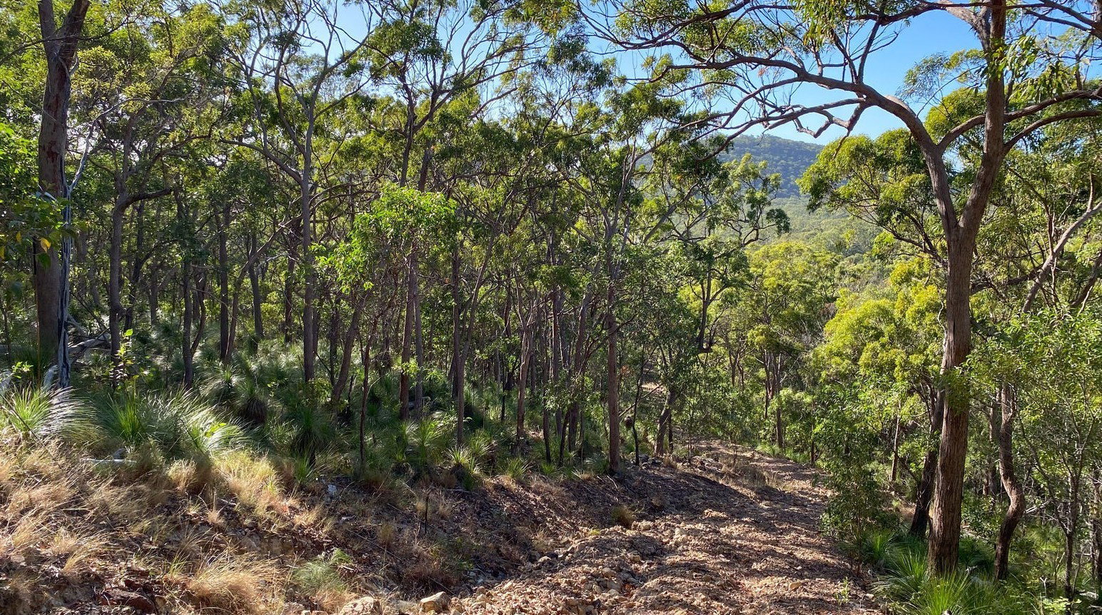 156 Josefski Road, Agnes Water  QLD  4677