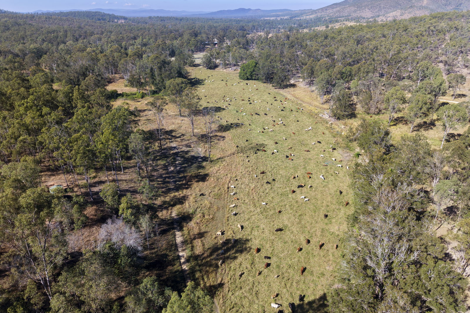 43 & 50 Kaliwa Road, Mingo  QLD  4625