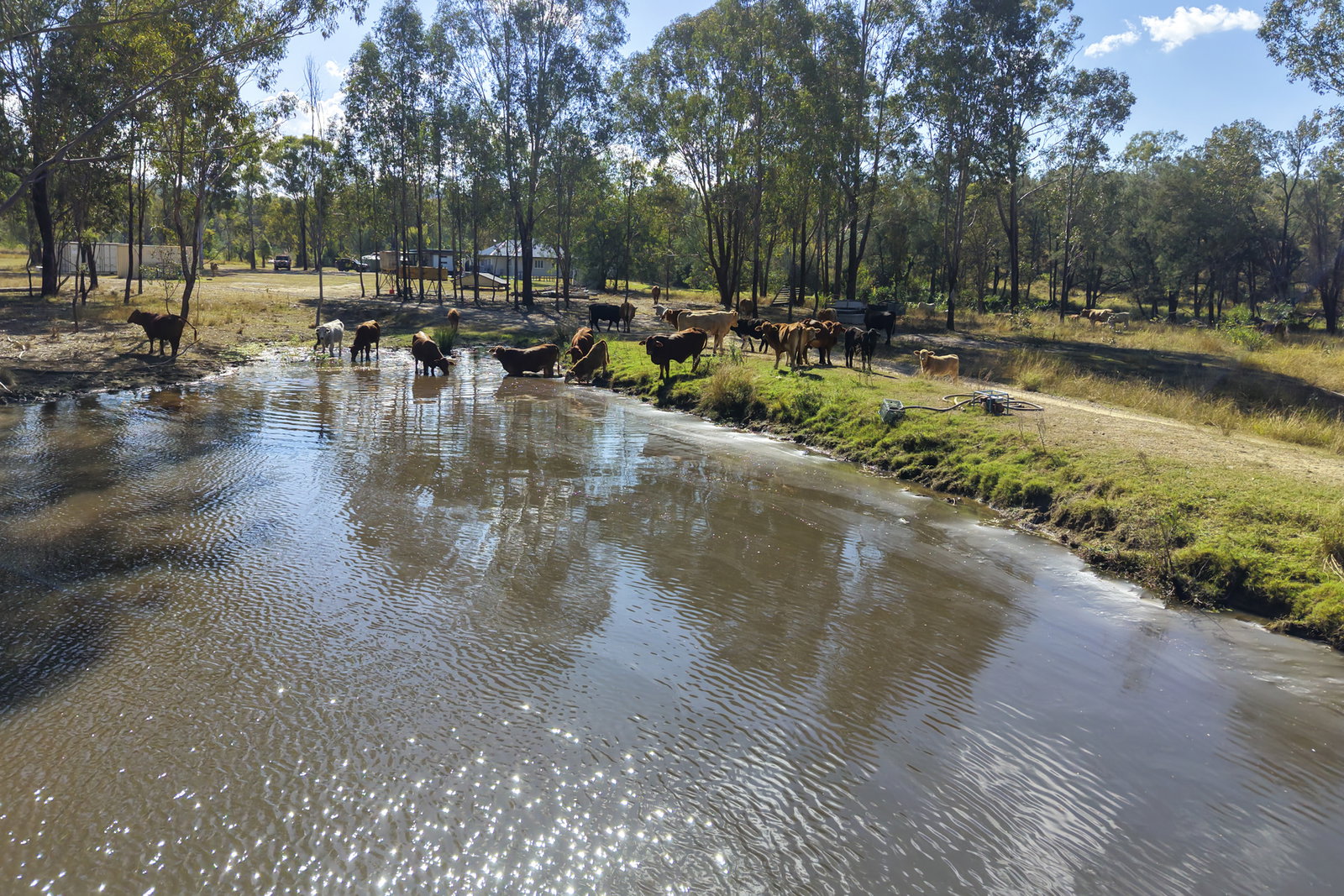 43 & 50 Kaliwa Road, Mingo  QLD  4625