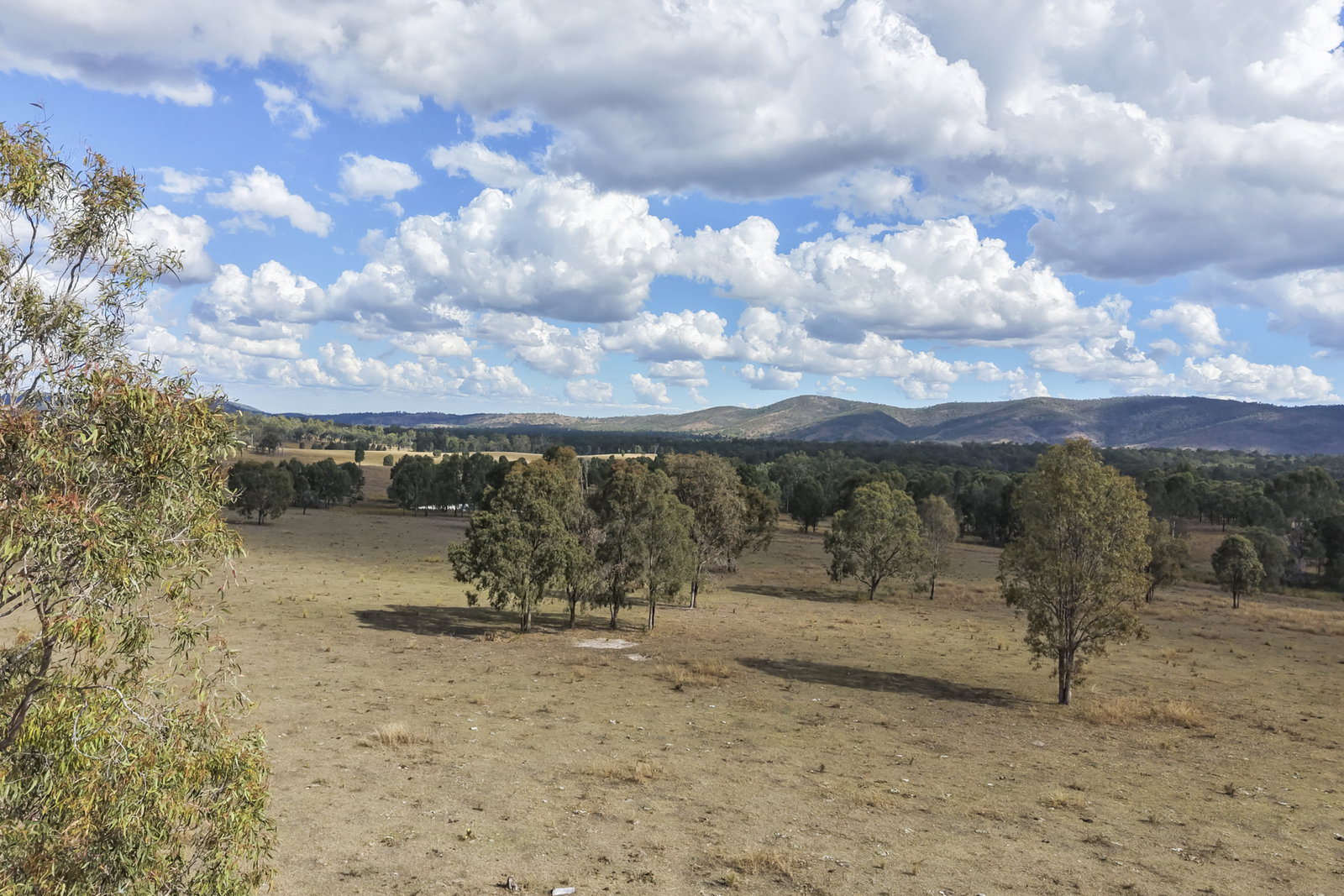 43 & 50 Kaliwa Road, Mingo  QLD  4625