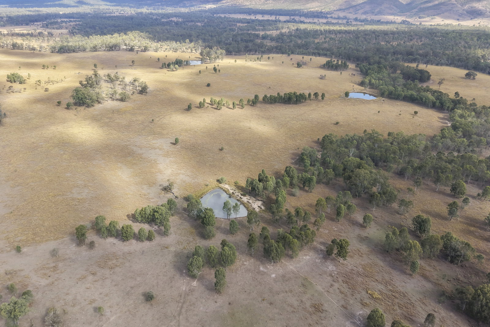 43 & 50 Kaliwa Road, Mingo  QLD  4625
