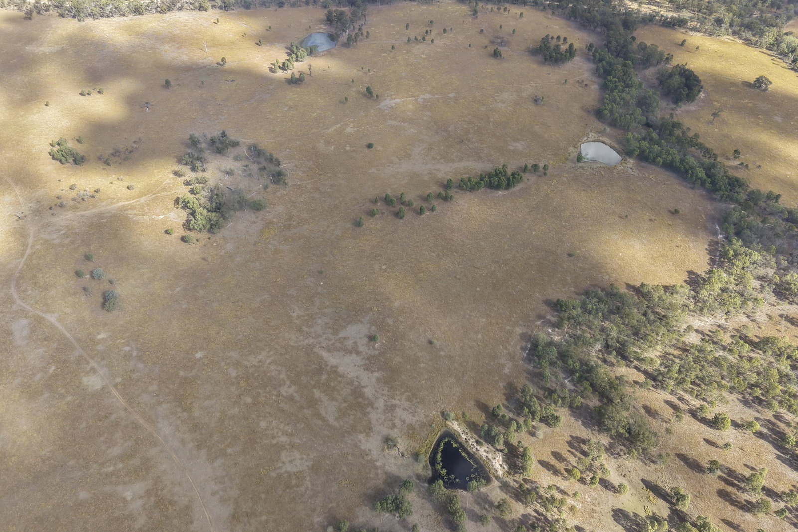 43 & 50 Kaliwa Road, Mingo  QLD  4625