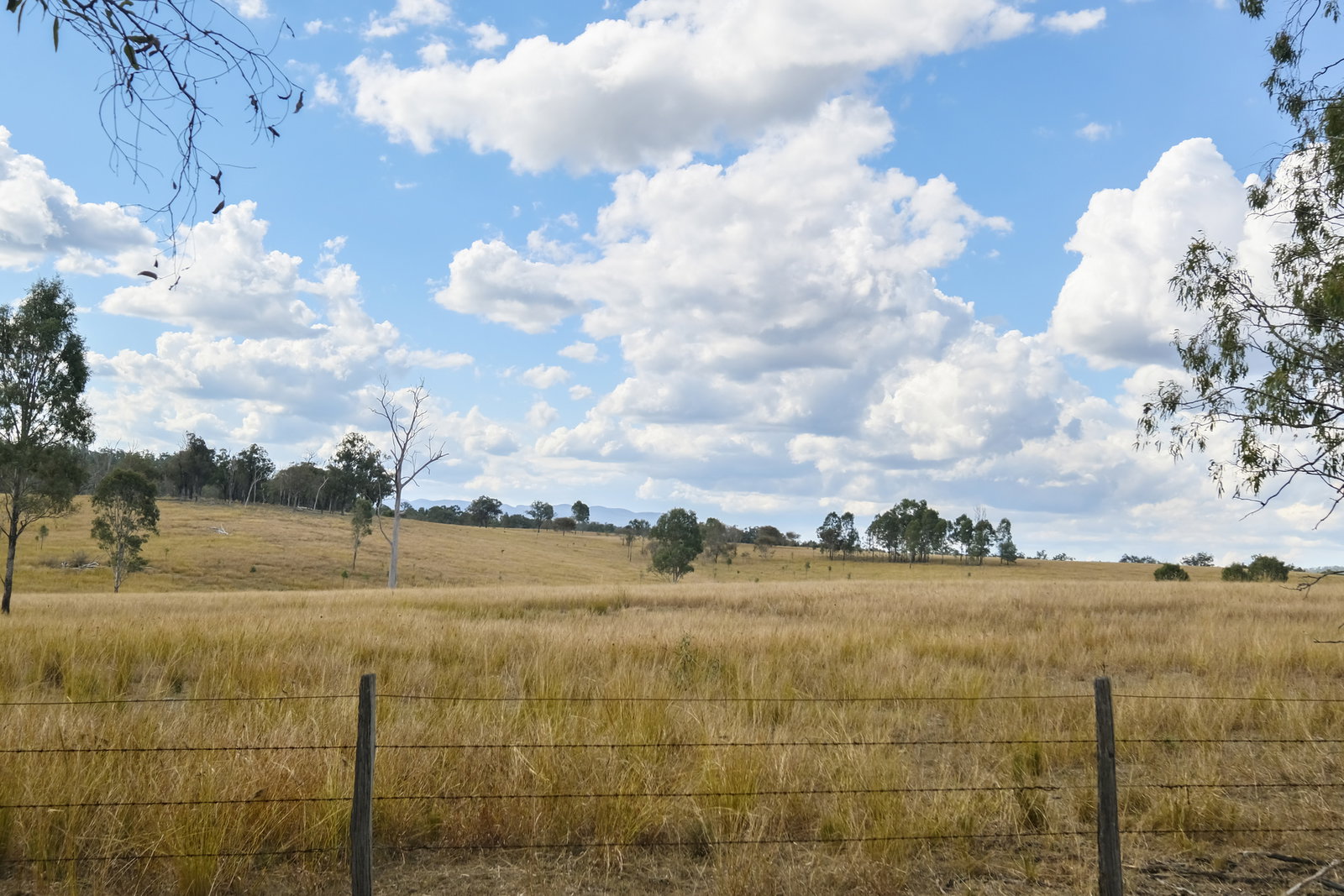 43 & 50 Kaliwa Road, Mingo  QLD  4625