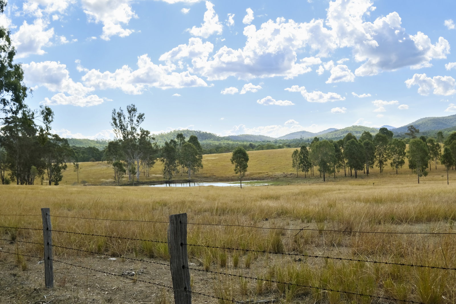 43 & 50 Kaliwa Road, Mingo  QLD  4625