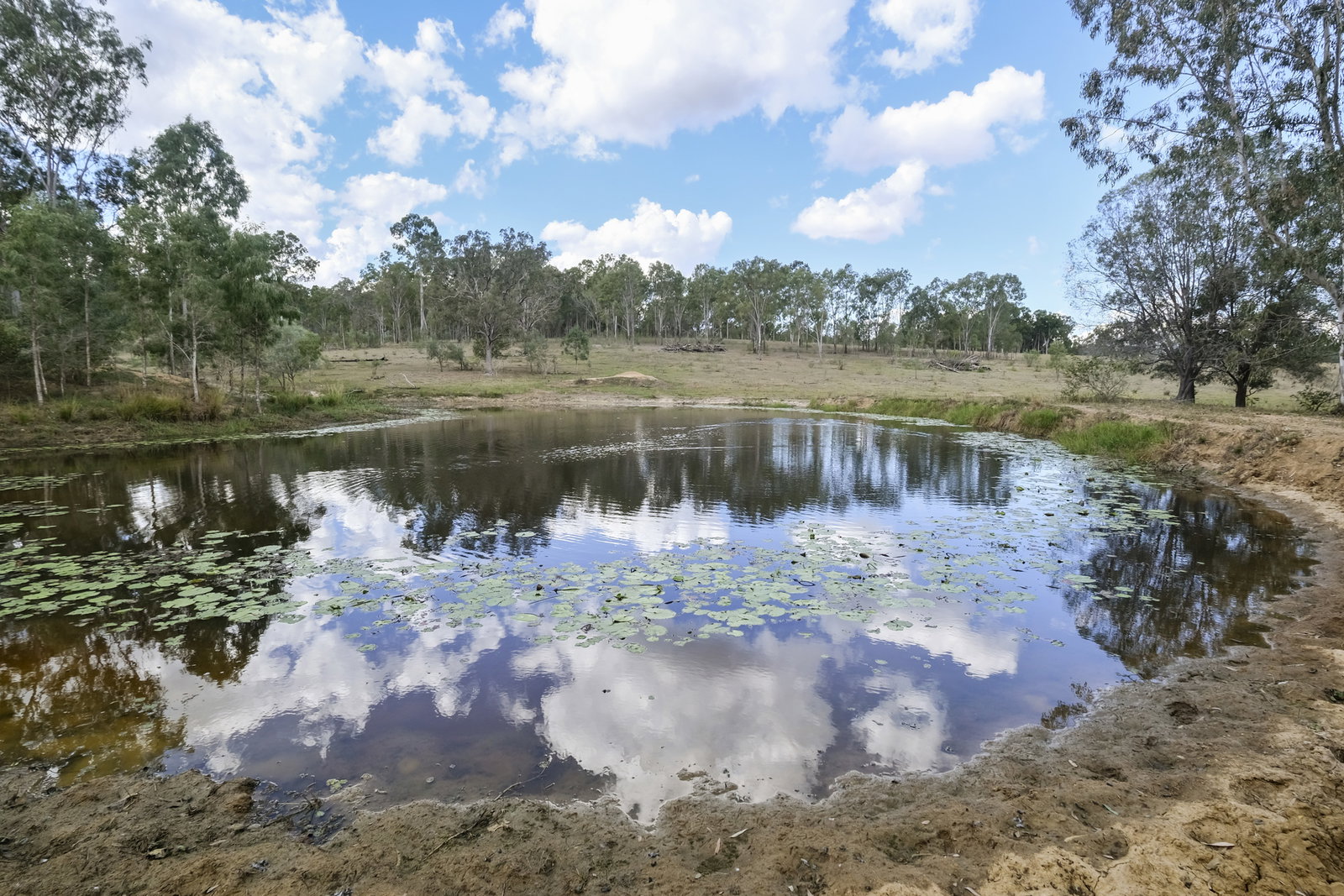 43 & 50 Kaliwa Road, Mingo  QLD  4625