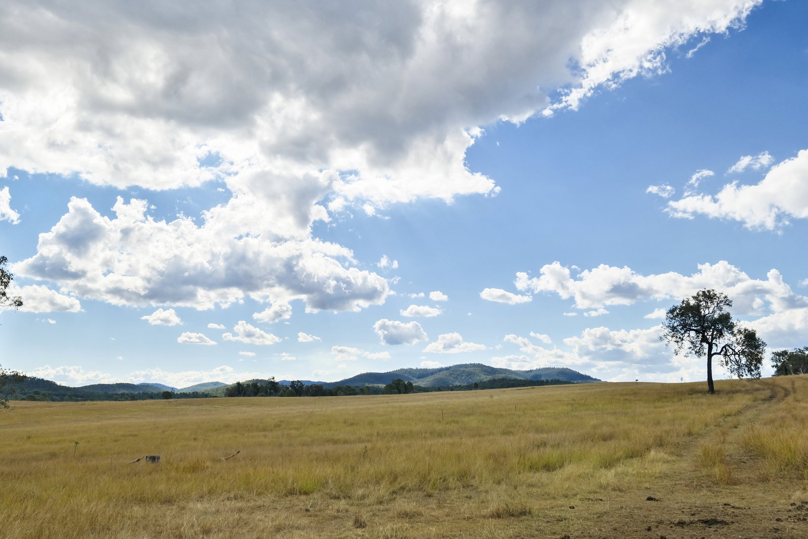 43 & 50 Kaliwa Road, Mingo  QLD  4625