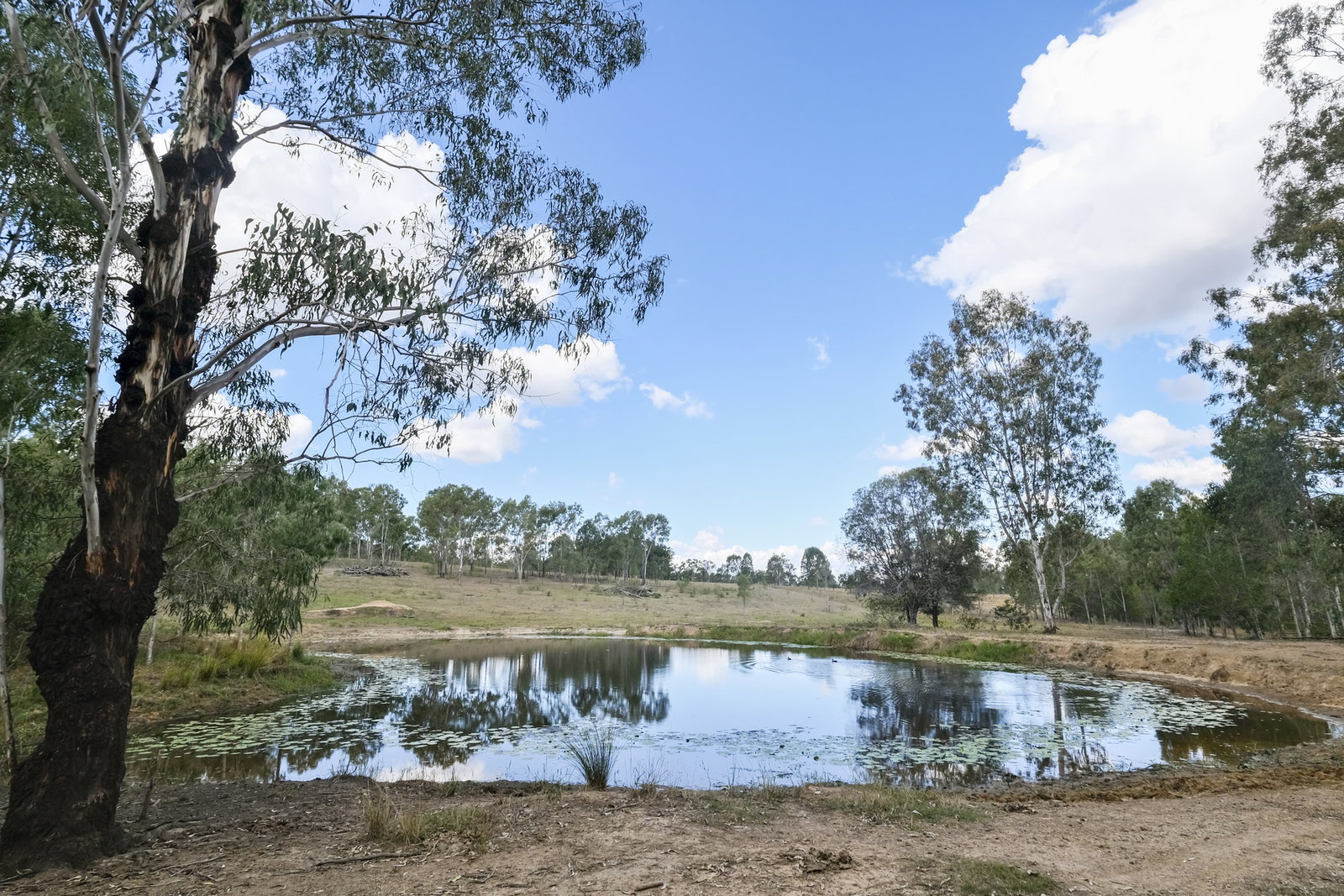 43 & 50 Kaliwa Road, Mingo  QLD  4625